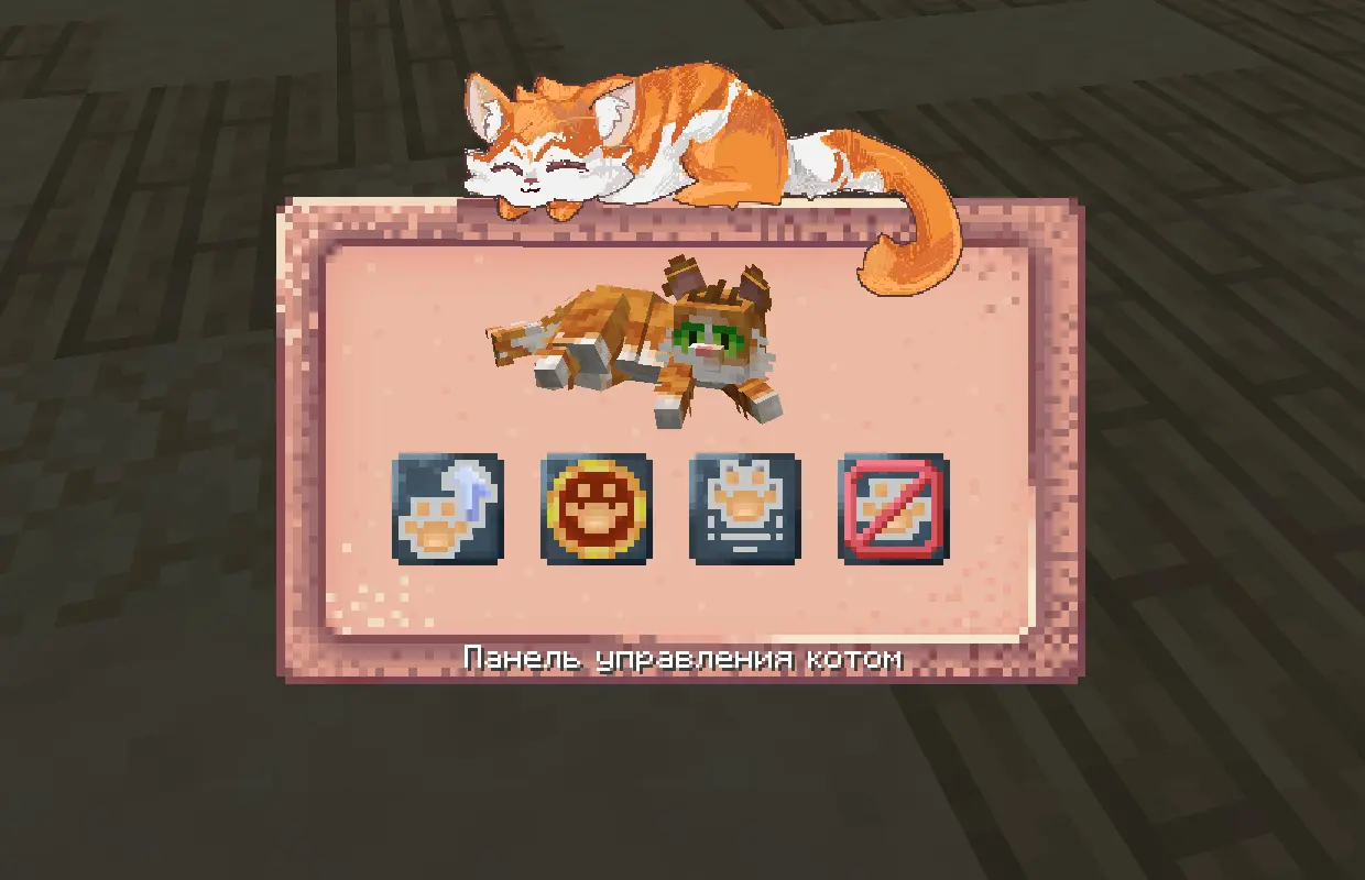 Cat 2